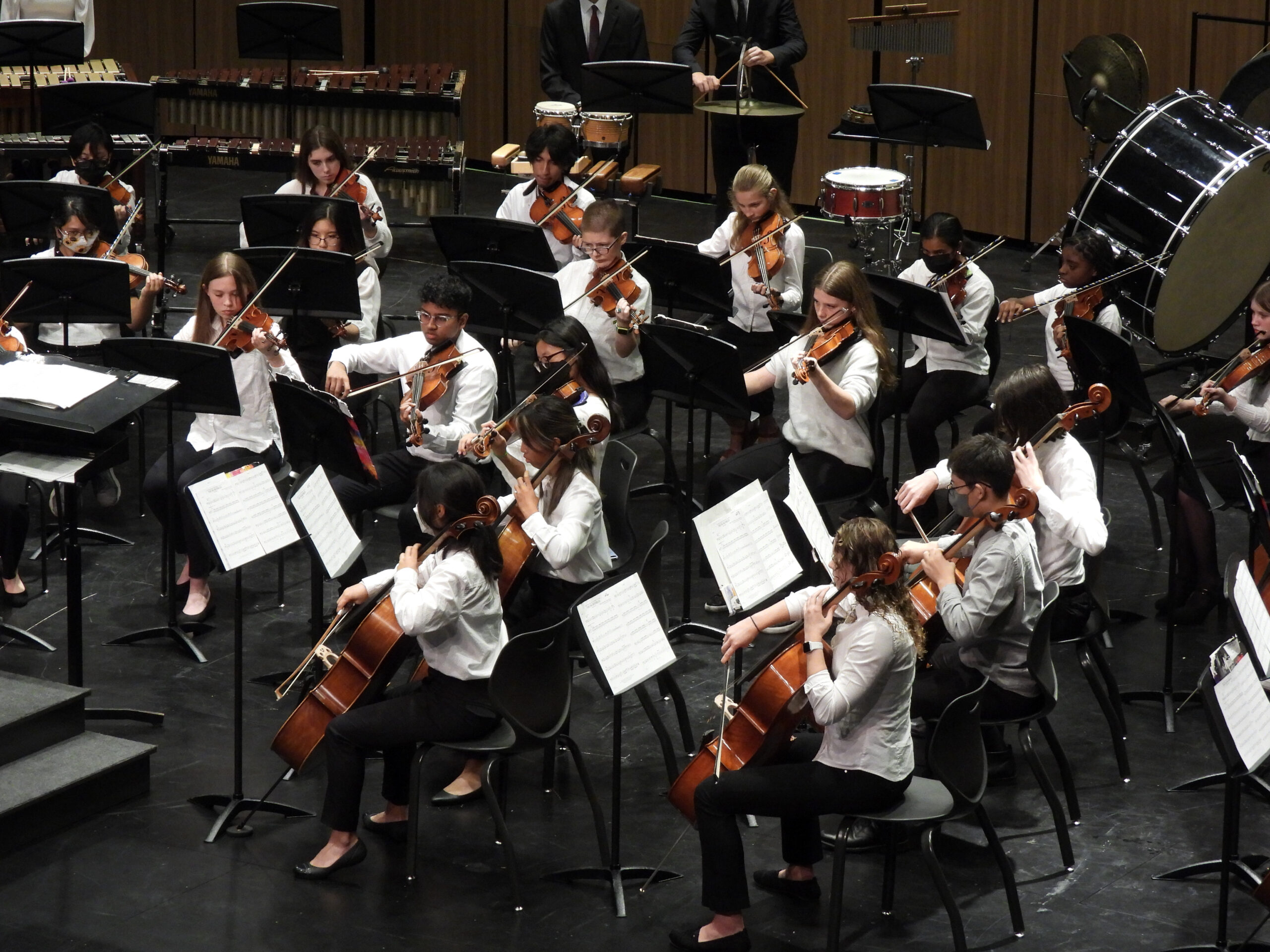 Central high school orchestra musicians performing in Decker Theater
