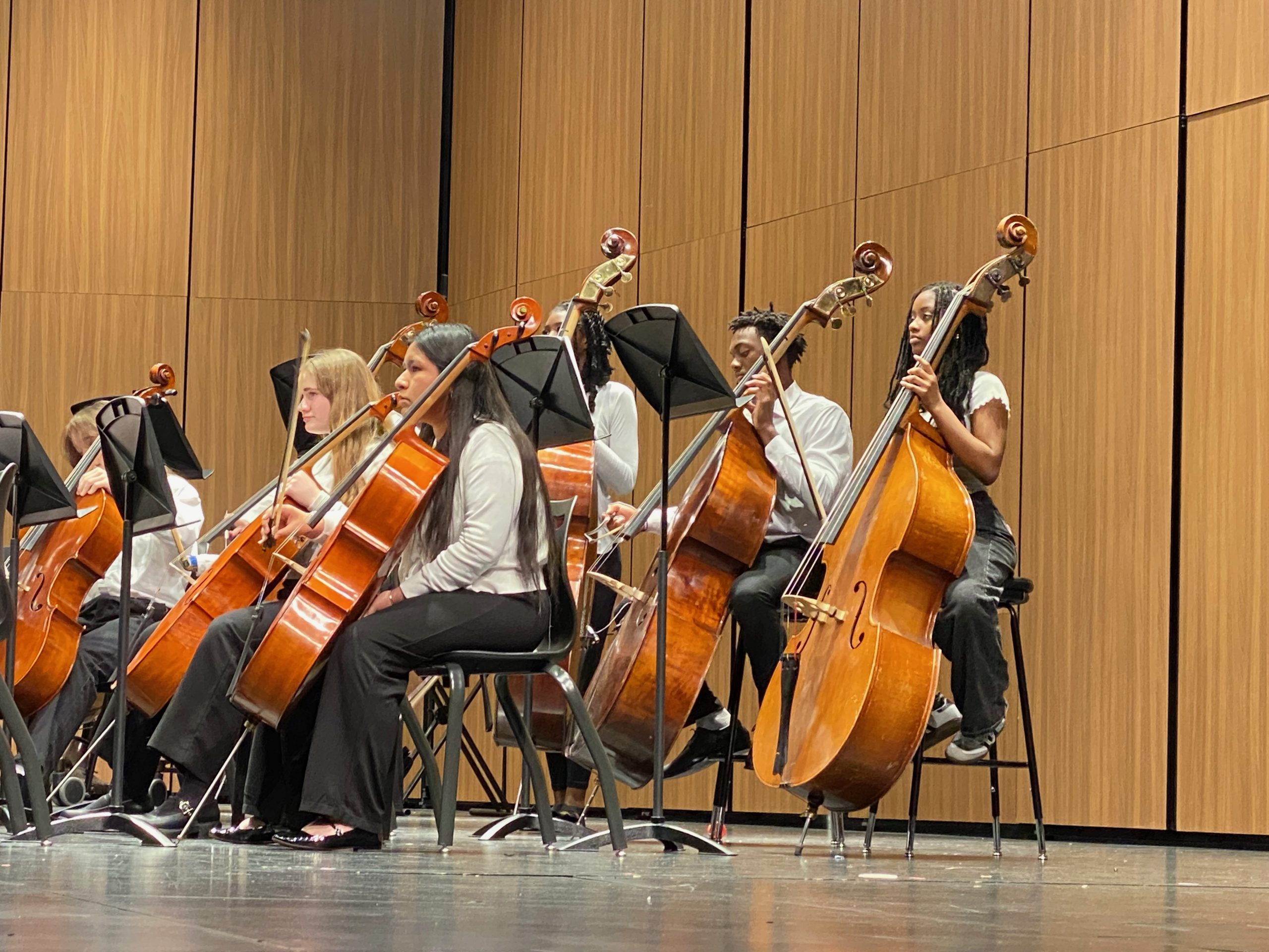 IMG_9425 Cellists and Bass strings players performing on stage